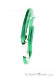 AustriAlpin Micro Snapgate Straight Carabiner, , Green, , , 0087-10026, 5637603747, , N2-07.jpg