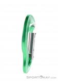 AustriAlpin Micro Snapgate Straight Carabiner, , Green, , , 0087-10026, 5637603747, , N2-17.jpg