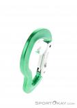 AustriAlpin Micro Snapgate Straight Carabiner, , Green, , , 0087-10026, 5637603747, , N3-18.jpg