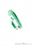 AustriAlpin Micro Snapgate Straight Carabiner, , Green, , , 0087-10026, 5637603747, , N4-04.jpg