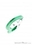 AustriAlpin Micro Snapgate Straight Carabiner, , Green, , , 0087-10026, 5637603747, , N4-19.jpg