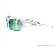 Alpina Berryn CM+ Sunglasses, Alpina, White, , Male,Female,Unisex, 0027-10121, 5637604362, 4003692226150, N1-06.jpg