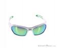 Alpina Berryn CM+ Sunglasses, Alpina, White, , Male,Female,Unisex, 0027-10121, 5637604362, 4003692226150, N2-02.jpg