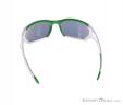Alpina Berryn CM+ Sunglasses, Alpina, White, , Male,Female,Unisex, 0027-10121, 5637604362, 4003692226150, N2-12.jpg