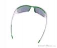 Alpina Berryn CM+ Sunglasses, Alpina, White, , Male,Female,Unisex, 0027-10121, 5637604362, 4003692226150, N3-13.jpg