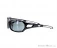 Alpina Berryn CM+ Sunglasses, Alpina, Black, , Male,Female,Unisex, 0027-10121, 5637604363, 4003692229762, N1-06.jpg