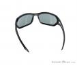 Alpina Berryn CM+ Sunglasses, Alpina, Black, , Male,Female,Unisex, 0027-10121, 5637604363, 4003692229762, N2-12.jpg