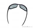 Alpina Berryn CM+ Sunglasses, Alpina, Black, , Male,Female,Unisex, 0027-10121, 5637604363, 4003692229762, N3-13.jpg