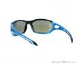 Alpina Berryn CM+ Sunglasses, Alpina, Blue, , Male,Female,Unisex, 0027-10121, 5637604364, 4003692226181, N1-11.jpg