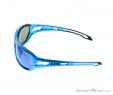 Alpina Berryn CM+ Sunglasses, Alpina, Blue, , Male,Female,Unisex, 0027-10121, 5637604364, 4003692226181, N2-07.jpg