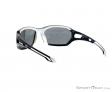 Alpina Berryn P Sunglasses, Alpina, Black, , Male,Female,Unisex, 0027-10122, 5637604366, 4003692229793, N1-11.jpg