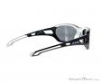 Alpina Berryn P Sunglasses, Alpina, Black, , Male,Female,Unisex, 0027-10122, 5637604366, 4003692229793, N1-16.jpg