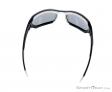 Alpina Berryn P Sunglasses, Alpina, Black, , Male,Female,Unisex, 0027-10122, 5637604366, 4003692229793, N3-13.jpg