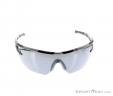 Alpina Eye-5 Shield CM+ Sunglasses, Alpina, Gray, , Male,Female,Unisex, 0027-10123, 5637604374, 4003692259288, N2-02.jpg