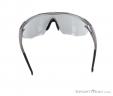 Alpina Eye-5 Shield CM+ Sunglasses, Alpina, Sivá, , Muži,Ženy,Unisex, 0027-10123, 5637604374, 4003692259288, N2-12.jpg