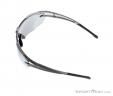 Alpina Eye-5 Shield CM+ Sunglasses, , Gray, , Male,Female,Unisex, 0027-10123, 5637604374, , N3-08.jpg