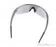 Alpina Eye-5 Shield CM+ Sunglasses, , Gray, , Male,Female,Unisex, 0027-10123, 5637604374, , N3-13.jpg