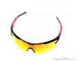 Alpina Eye-5 Shield CM+ Sunglasses, , Red, , Male,Female,Unisex, 0027-10123, 5637604375, , N3-03.jpg