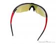 Alpina Eye-5 Shield CM+ Sunglasses, Alpina, Red, , Male,Female,Unisex, 0027-10123, 5637604375, 4003692259448, N3-13.jpg