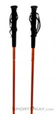 Dynafit Vertical Pole Trail Running Poles, , Orange, , Male,Female,Unisex, 0015-10597, 5637610463, , N2-02.jpg