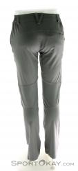 Salewa Puez DST M Regular Pants Herren Outdoorhose, , Grau, , Herren, 0032-10249, 5637610488, , N2-12.jpg