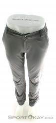 Salewa Puez DST M Regular Mens Outdoor Pants, , Sivá, , Muži, 0032-10249, 5637610488, , N3-03.jpg