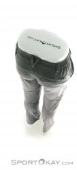 Salewa Puez DST M Regular Pants Herren Outdoorhose, , Grau, , Herren, 0032-10249, 5637610488, , N4-14.jpg