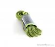 Edelrid Swift Pro Dry 8,9mm Climbing Rope 30m, Edelrid, Green, , , 0084-10117, 5637610583, 4052285310288, N2-07.jpg