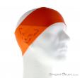 Dynafit Performance Dry Headband, Dynafit, Red, , Male,Female,Unisex, 0015-10590, 5637612751, 4053865657441, N1-01.jpg