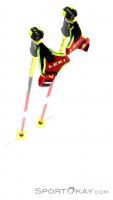Leki WC Racing Comp Ski Poles, Leki, Rouge, , Hommes,Femmes,Unisex, 0012-10219, 5637617137, 4028173779611, N4-09.jpg