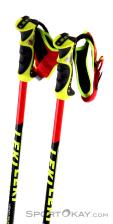 Leki Venom SL Ski Poles, Leki, Red, , Male,Female,Unisex, 0012-10220, 5637617143, 4028173780877, N3-03.jpg