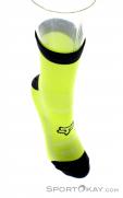 Fox Trail Socken Biking Socks, Fox, Yellow, , Male,Female,Unisex, 0236-10161, 5637619350, 884065901386, N3-03.jpg