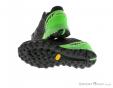 Dynafit Alpine Pro Mens Trail Running Shoes, , Vert, , Hommes, 0015-10430, 5637619526, , N2-12.jpg