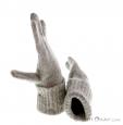 Ortovox Berchtesgaden Gloves, Ortovox, Gray, , Male,Female,Unisex, 0016-10769, 5637623097, 4250091701317, N2-17.jpg