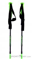 Komperdell Nationalteam Carbon Ski Poles, , Green, , Male,Female,Unisex, 0113-10034, 5637626519, , N1-11.jpg