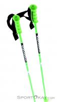 Komperdell Nationalteam Carbon Ski Poles, , Green, , Male,Female,Unisex, 0113-10034, 5637626519, , N4-19.jpg