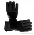 Level Apex GTX Glove Gore-Tex, , Noir, , Hommes,Femmes,Unisex, 0250-10019, 5637628608, , N2-02.jpg