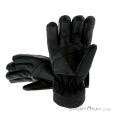 Level Apex GTX Glove Gore-Tex, , Black, , Male,Female,Unisex, 0250-10019, 5637628608, , N2-12.jpg