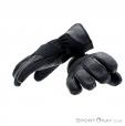 Level Apex GTX Glove Gore-Tex, , Noir, , Hommes,Femmes,Unisex, 0250-10019, 5637628608, , N5-10.jpg