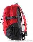The North Face Borealis Classic 29l Backpack, The North Face, Red, , Male,Female,Unisex, 0205-10113, 5637638905, 191930491942, N1-06.jpg