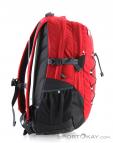 The North Face Borealis Classic 29l Backpack, The North Face, Red, , Male,Female,Unisex, 0205-10113, 5637638905, 191930491942, N1-16.jpg
