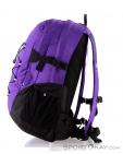 The North Face Borealis Classic 29l Backpack, The North Face, Purple, , Male,Female,Unisex, 0205-10113, 5637638906, 191930491881, N1-06.jpg