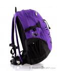 The North Face Borealis Classic 29l Backpack, The North Face, Lilas, , Hommes,Femmes,Unisex, 0205-10113, 5637638906, 191930491881, N1-16.jpg