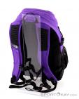 The North Face Borealis Classic 29l Backpack, The North Face, Purple, , Male,Female,Unisex, 0205-10113, 5637638906, 191930491881, N2-12.jpg