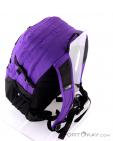 The North Face Borealis Classic 29l Backpack, The North Face, Purple, , Male,Female,Unisex, 0205-10113, 5637638906, 191930491881, N3-08.jpg