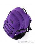 The North Face Borealis Classic 29l Backpack, The North Face, Lilas, , Hommes,Femmes,Unisex, 0205-10113, 5637638906, 191930491881, N4-04.jpg