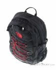 The North Face Borealis Classic 29l Backpack, The North Face, Multicolored, , Male,Female,Unisex, 0205-10113, 5637638908, 191930492017, N3-03.jpg