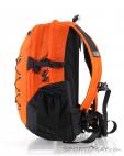 The North Face Borealis Classic 29l Backpack, The North Face, Orange, , Hommes,Femmes,Unisex, 0205-10113, 5637638910, 191930491867, N1-06.jpg