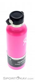 Hydro Flask 21oz Standard Mouth 621ml Thermos Bottle, Hydro Flask, Pink, , , 0311-10001, 5637639008, 817318023306, N3-18.jpg