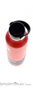 Hydro Flask 24oz Standard Mouth 0,709l Thermosflasche, Hydro Flask, Rot, , , 0311-10003, 5637639056, 810497025857, N4-04.jpg